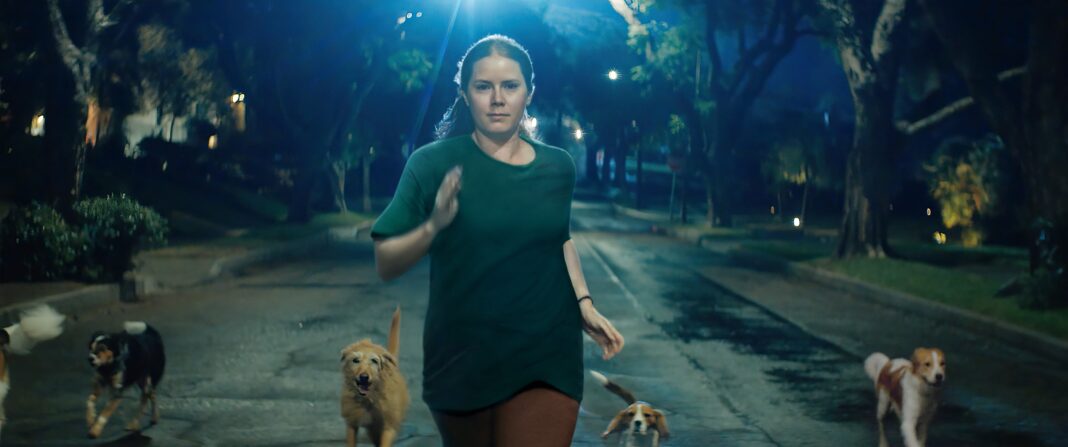 ‘canina’-transforma-amy-adams-em-cachorra-para-explorar-maternidade-e-furia-feminina,-diz-diretora ‘canina’-transforma-amy-adams-em-cachorra-para-explorar-maternidade-e-furia-feminina,-diz-diretora