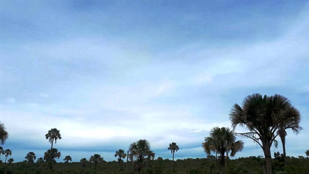 umidade-relativa-do-ar-pode-chegar-a-20%-em-cidades-do-triangulo-mineiro-e-alto-paranaiba