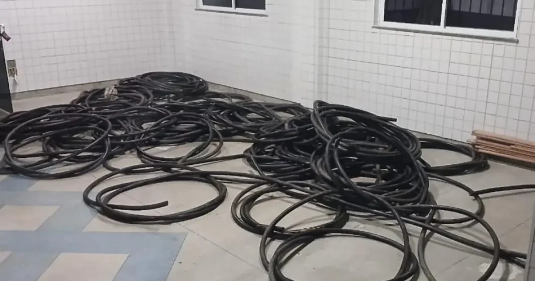 IMAGEM_NOTICIA_9 (1)