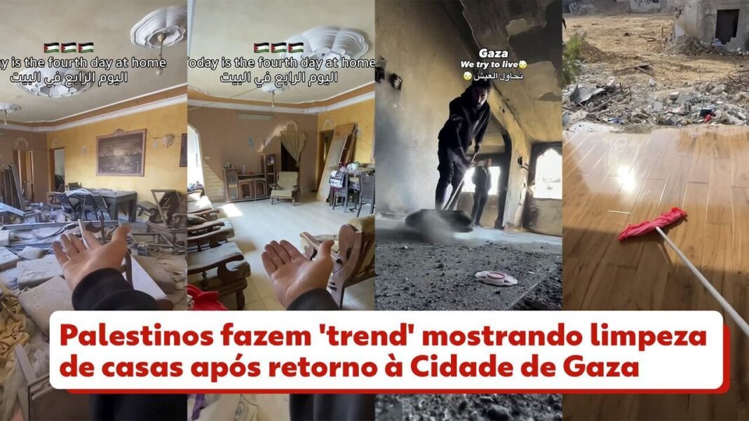 como-bad-bunny-virou-estrela-em-gaza-e-libano:-‘suas-letras-sao-muito-poderosas-no-oriente-medio’ como-bad-bunny-virou-estrela-em-gaza-e-libano:-‘suas-letras-sao-muito-poderosas-no-oriente-medio’