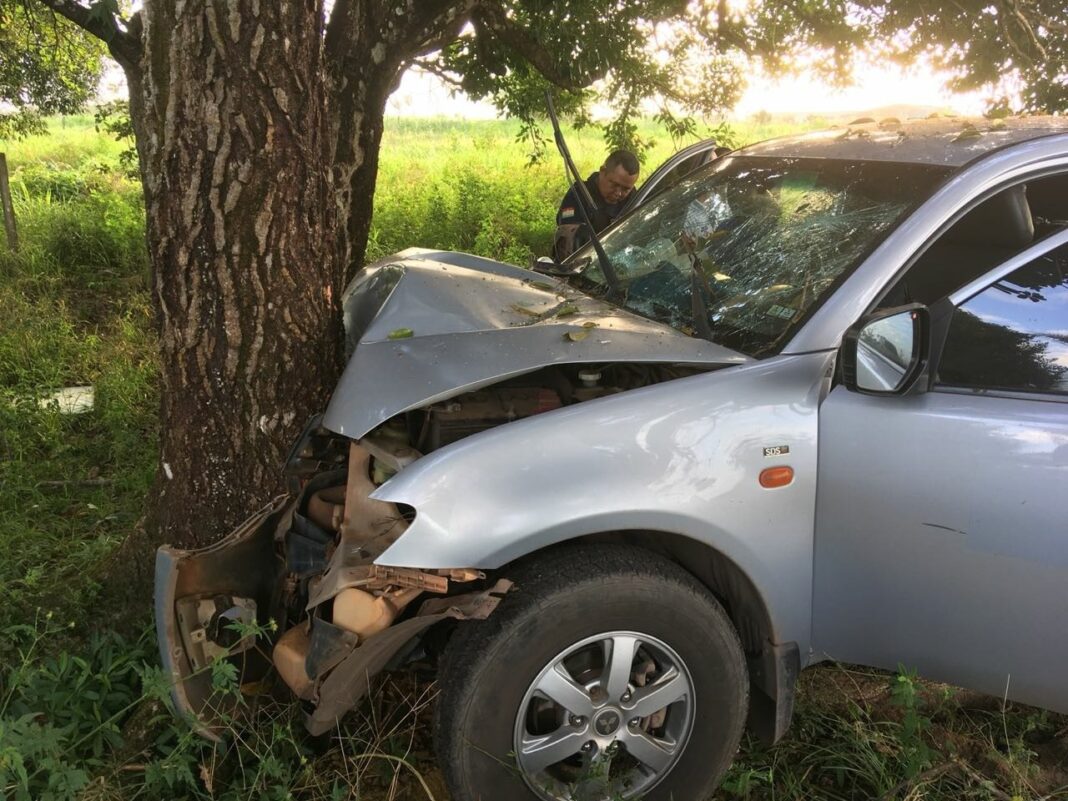 picape-a-servico-da-prefeitura-de-macapa-perde-controle-e-atinge-arvore