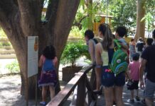 Semana de férias em museu de Macapá terá recreação, jogos e oficinas para as crianças semana-de-ferias-em-museu-de-macapa-tera-recreacao,-jogos-e-oficinas-para-as-criancas