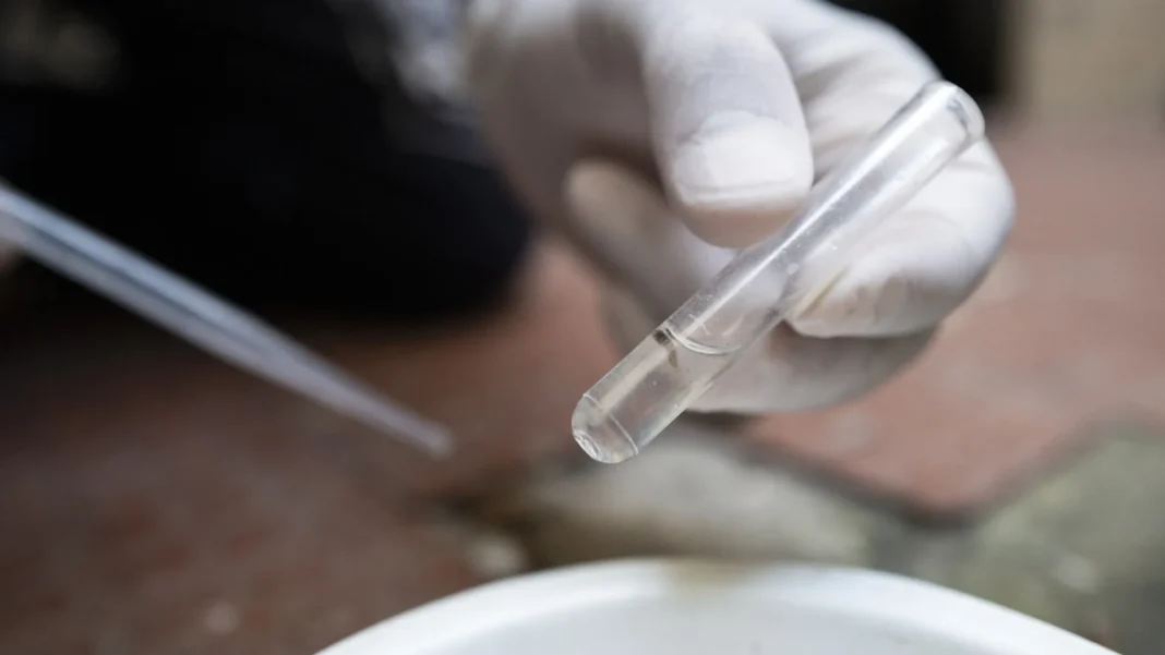 estado-de-sao-paulo-decreta-emergencia-por-dengue estado-de-sao-paulo-decreta-emergencia-por-dengue