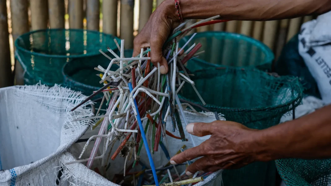os-canudos-de-plastico-sao-realmente-tao-ruins-para-o-meio-ambiente?