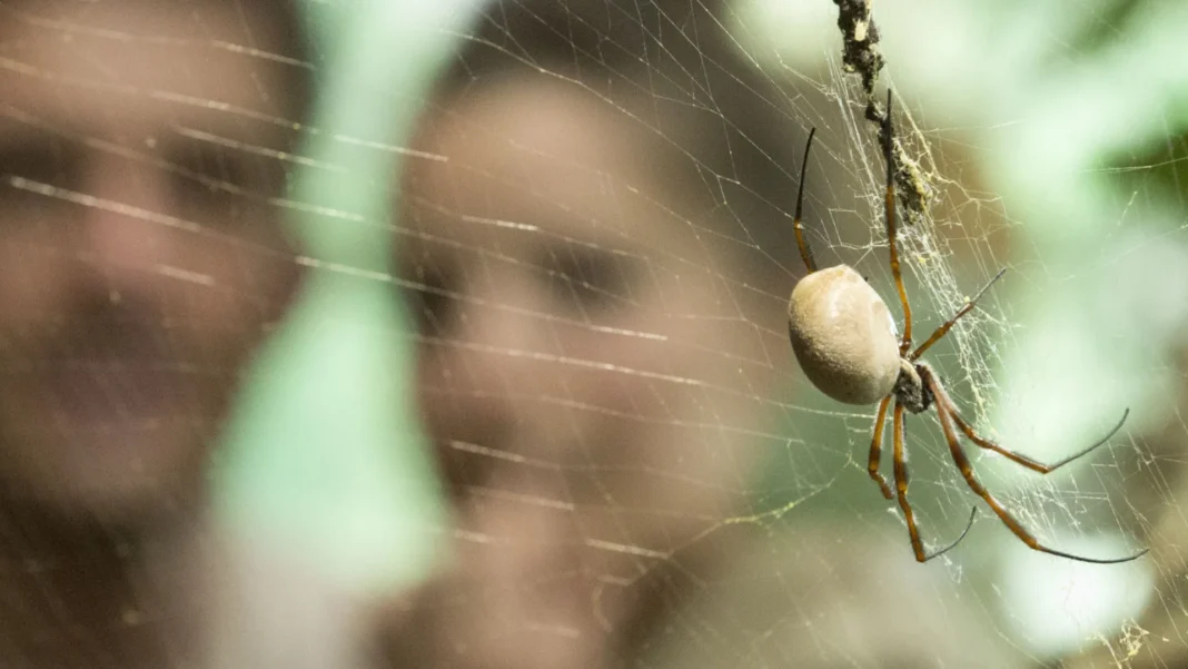 por-que-algumas-pessoas-tem-medo-de-animais? por-que-algumas-pessoas-tem-medo-de-animais?