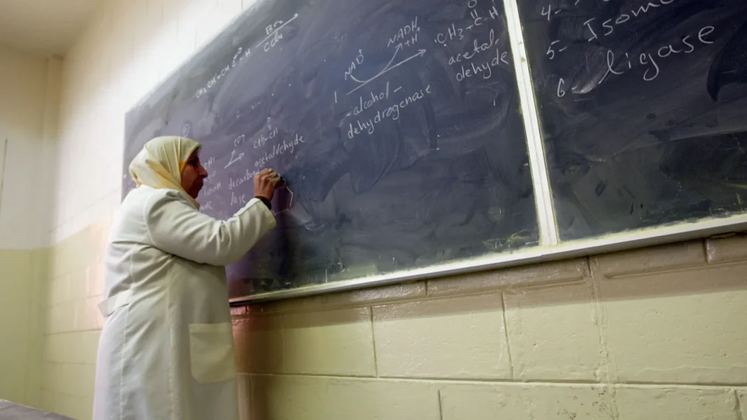 paises-que-enfrentam-as-maiores-taxas-de-‘fuga-de-cerebros’ paises-que-enfrentam-as-maiores-taxas-de-‘fuga-de-cerebros’