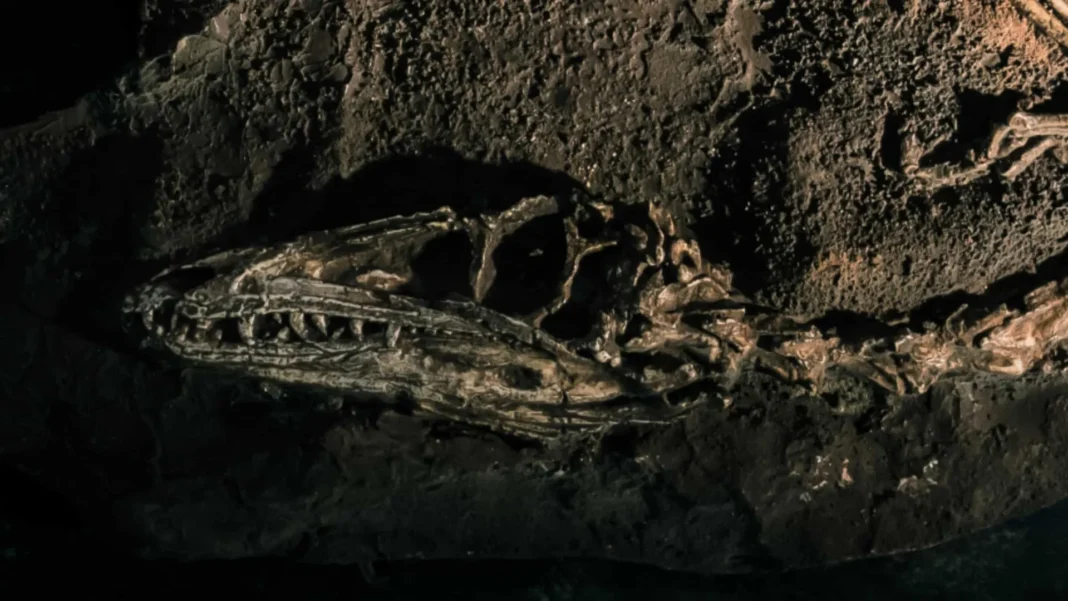 fossil-descoberto-no-brasil-lanca-luz-sobre-origem-dos-dinossauros