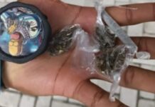 Homem é detido por posse de maconha no Parque Satélite