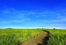 Camaçari prevê céu parcialmente limpo neste domingo (02)