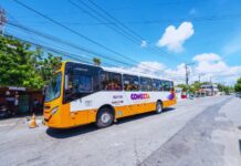 STT amplia transporte coletivo com novas linhas em Camaçari