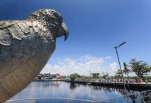 Alô, Folião! 🚗🎉 Lavagem de Jauá agita o litoral e muda o trânsito a partir deste sábado (31)