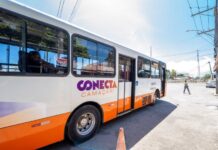 Prefeitura reforça transporte com linhas especiais no 1º dia do Festival de Arembepe