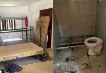 Centro de tratamento em Camaçari é acusado de maus-tratos e insalubridade