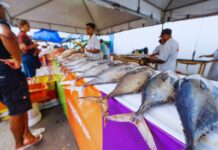 Camaçari recebe Feira do Peixe com produtos frescos para a Semana Santa