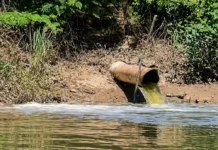 Moradores de Barra do Pojuca se revoltam com possível poluição no Rio Pojuca