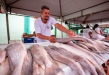 Feira do Peixe acontece em Camaçari de quinta a sábado