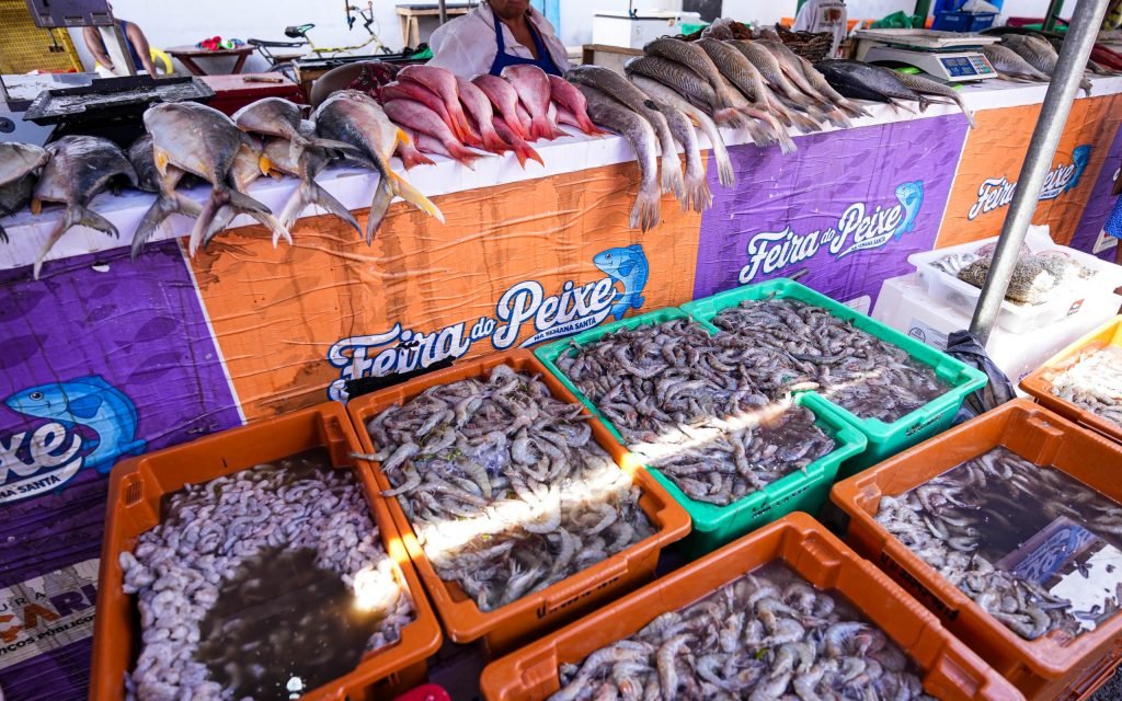 Vista geral da Feira do Peixe