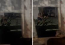 Advogada denuncia agressões e teme impunidade de comerciante ligado à política