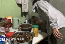 Operação de resgate expõe trabalho escravo na BYD e causa demissão em Brasília