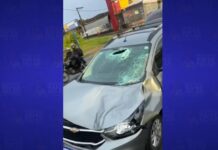 Carro colide com boi na Estrada da Cascalheira, em Camaçari