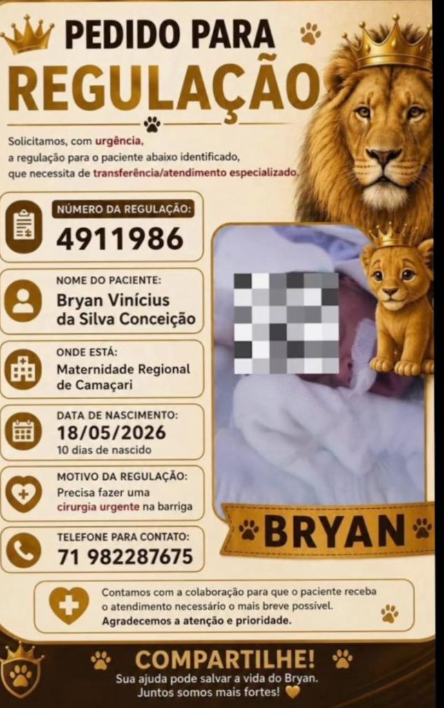 Recém-nascido Bryan Vinicius da Silva Conceição
