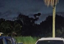 PRF recupera veículo roubado e clonado em Simões Filho (BA)