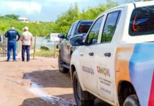 Camaçari inicia recuperação do manguezal em Barra do Jacuípe