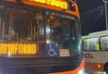 Transporte público especial será oferecido durante o Camaforró 2026