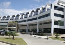 MP-BA investiga empresas por supressão ilegal de vegetação em Camaçari
