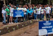 Mutirão revitaliza horta comunitária e fortalece segurança alimentar em Camaçari