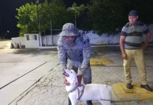 PM resgata cão em situação de risco na Barra do Jacuípe