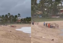 Turista morre ao salvar filho e sobrinho de afogamento em Camaçari