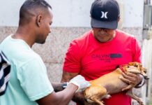 Camaçari inicia Campanha de Vacinação Antirrábica com Dia D neste sábado
