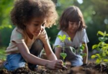 Projeto cultural transforma salas de aula em espaços de criação ambiental em Camaçari