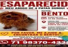 Menino Bento desaparece na Fonte da Caixa e família pede ajuda