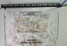 Polícia apreende mais de 2 mil pedras de crack em Ibicuí