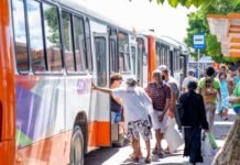 Transporte público ganha cinco novas linhas na sede e na orla
