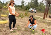 Cinturão Verde de Camaçari recebe 100 mudas nativas para reforço ambiental