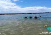 Litoral Norte da Bahia une história, cultura e belas paisagens naturais