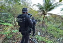 FICCO, PC e PM unem forças contra tráfico de armas em Camaçari e Mata de São João