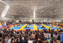Expo Fight Bahia oferece quatro dias gratuitos de modalidades de combate